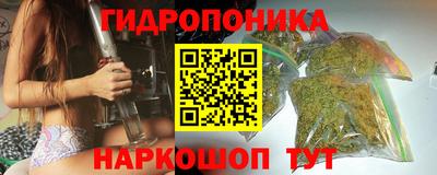 круглые Бердск