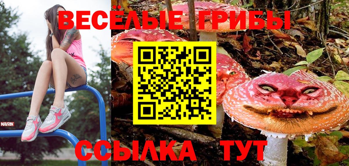 Ахтубинск  Галлюциногенные грибы GOLDEN TEACHER  Вход с VPN  Псилоцибиновые грибы Magic Shrooms 